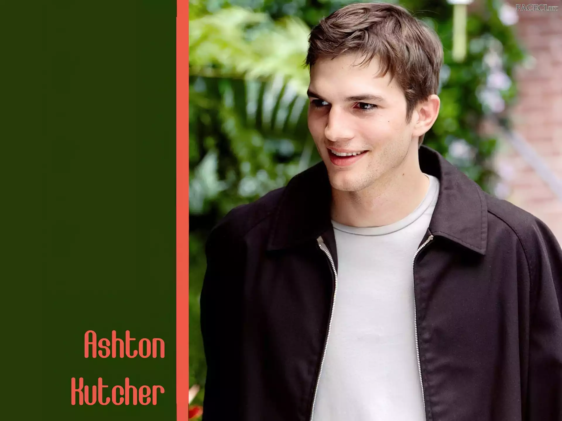 włosy, Ashton Kutcher, krótkie